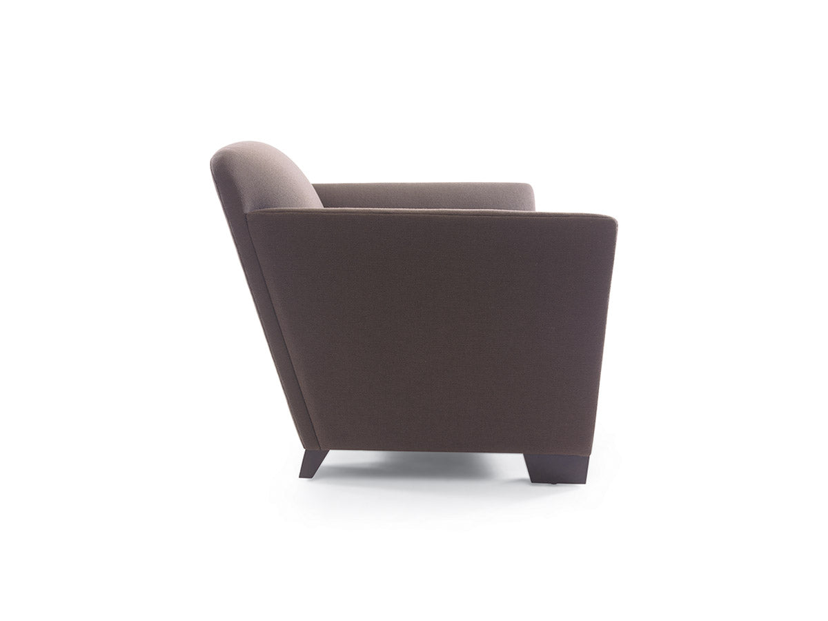 Dana Lounge Chair