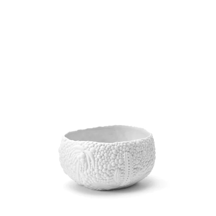 Haas Mojave Desert Bowl - Small - White