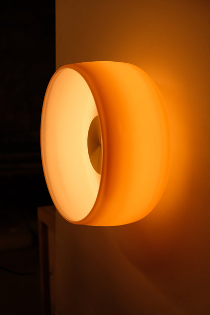 Gamma S Wall/Ceiling Light