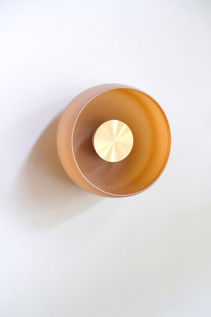 Gamma S Wall/Ceiling Light