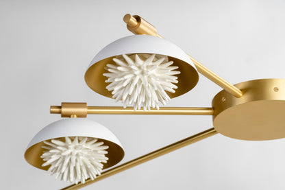 Abysse Celling Light