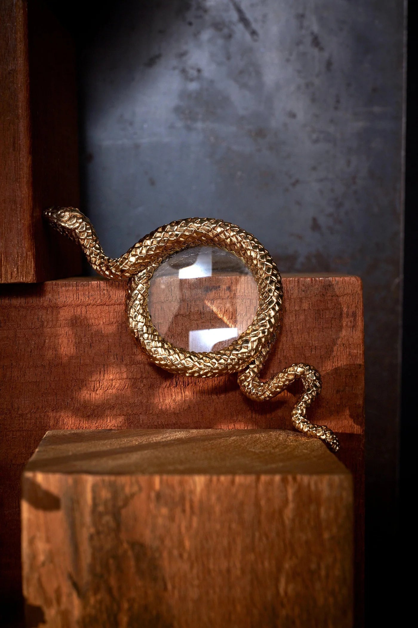 Snake Magnifying Glass