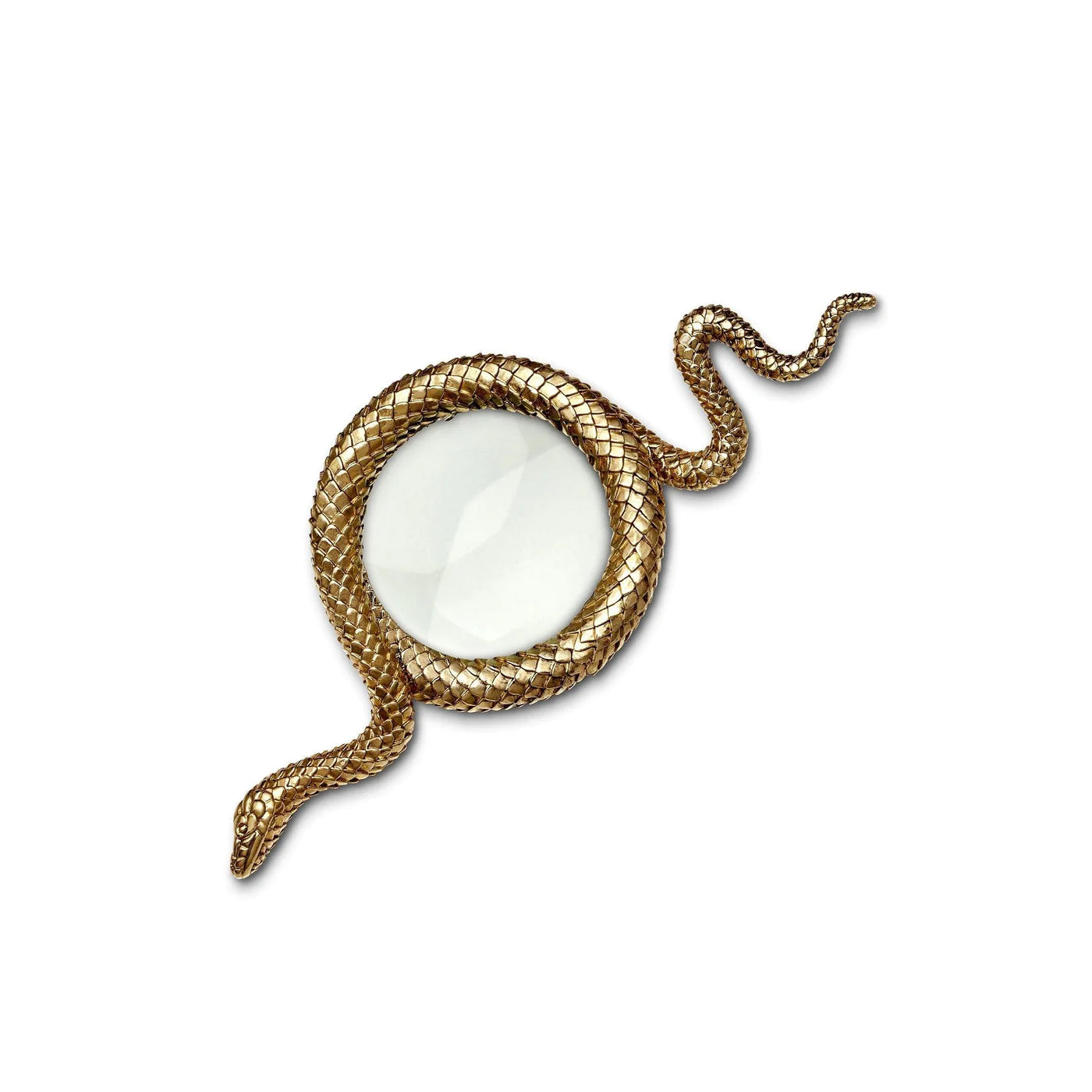 Snake Magnifying Glass